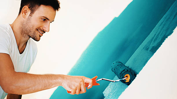 Wallpaper Removal and Painting in Gunbarrel, CO